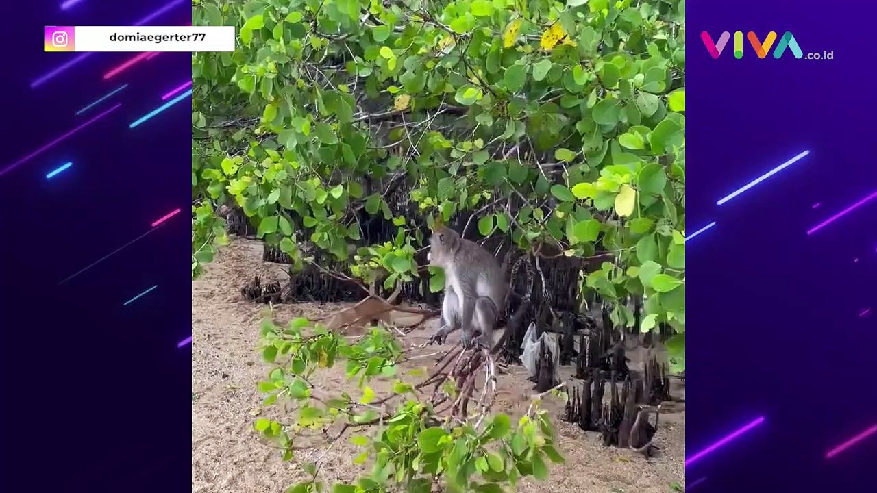 Pembalap WSBK Telah Tiba di Mandalika, Langsung Jatuh Cinta!