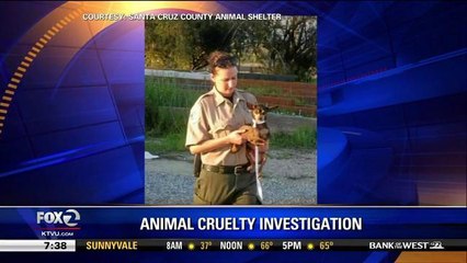 Disturbing Animal Cruelty Investigation In Santa Cruz