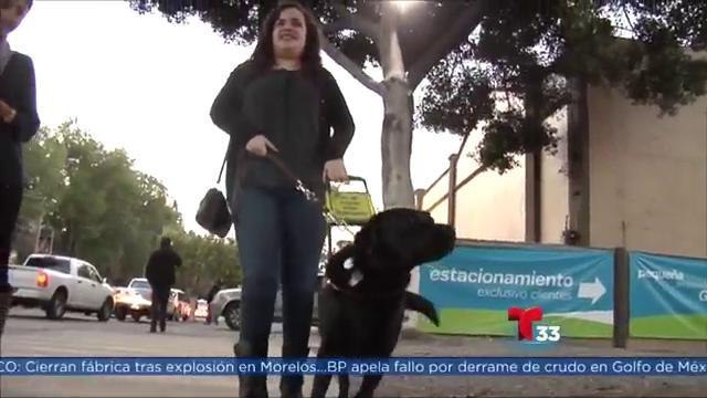 Invidente de Tijuana reporta discriminación en restaurante