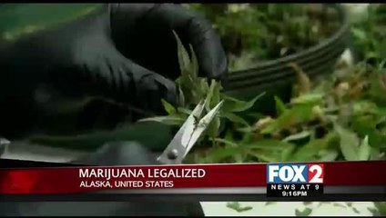 Marijuana Legalized in Alaska