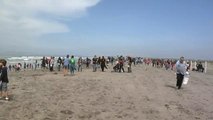 Juntos limpian playas en ambos lados de la frontera