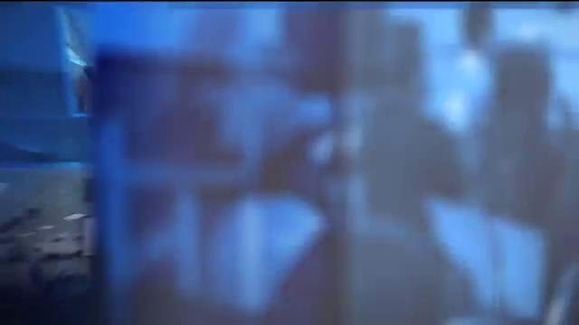 Crisis Licencias de Conducir Indocumentados