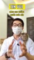 Bác sĩ tiết lộ vết thương hồi phục thần kì nhờ nuôi mèo