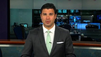 ¿Ha visto más caimanes?