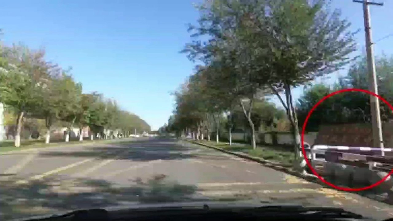 CHINESE CITIZEN FILMS  CONCENTRATION CAMPS IN XINJIANG
