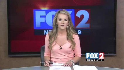 \'Operation Strong\' Proving Vital in Decreasing Criminal Activity along Border