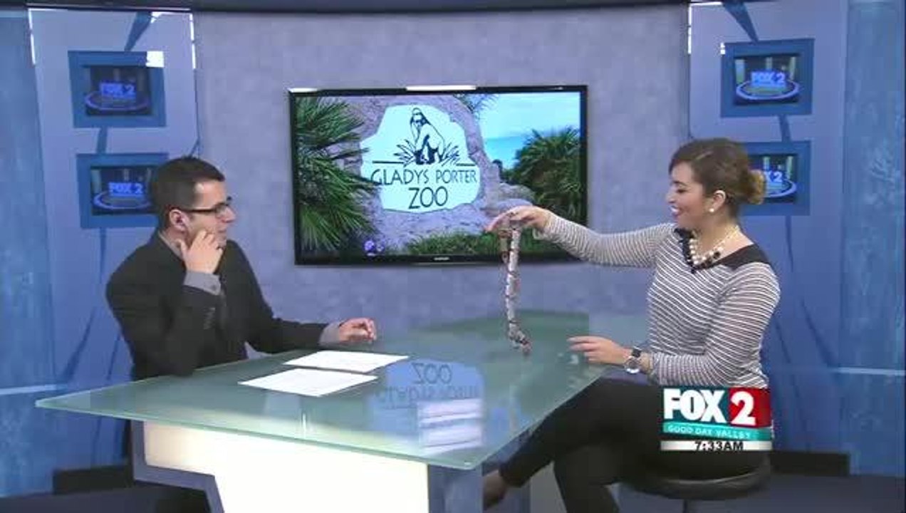 zoo