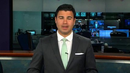 ¿Ha visto más caimanes?