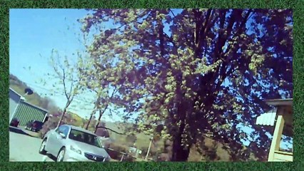 Walking around apartment before Pantry l PowerDirector 18