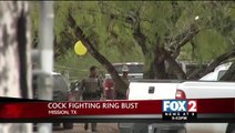 Police Bust Cock Fighting Ring