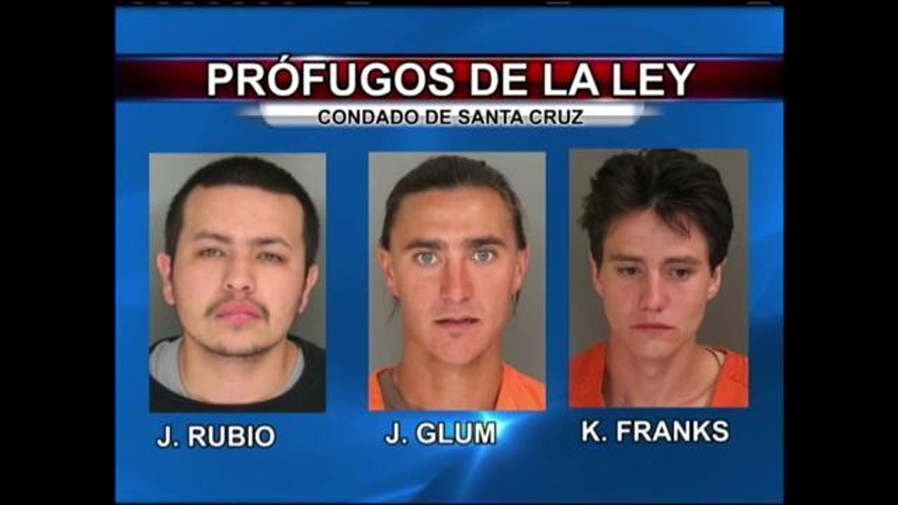 Prófugos de la ley