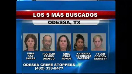 Los cinco más buscados de la semana