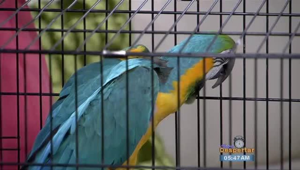 zoo