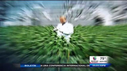 Guía Completa para el Uso de Tarjetas de Asistencia Pública 📝