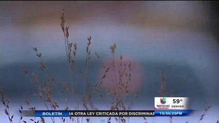 Impostores que se hacen pasar por policías