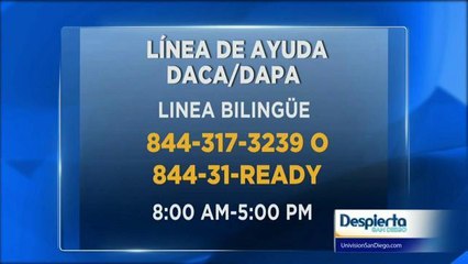 Abre una línea telefónica para ayudar a preparar a quienes califican Daca y Dapa