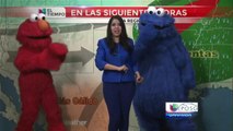 El Clima con Brenda Reyes y sus invitados especiales.