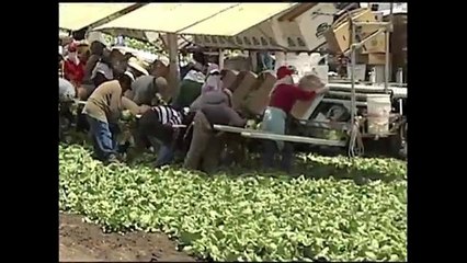 Sequía y aumento en los precios