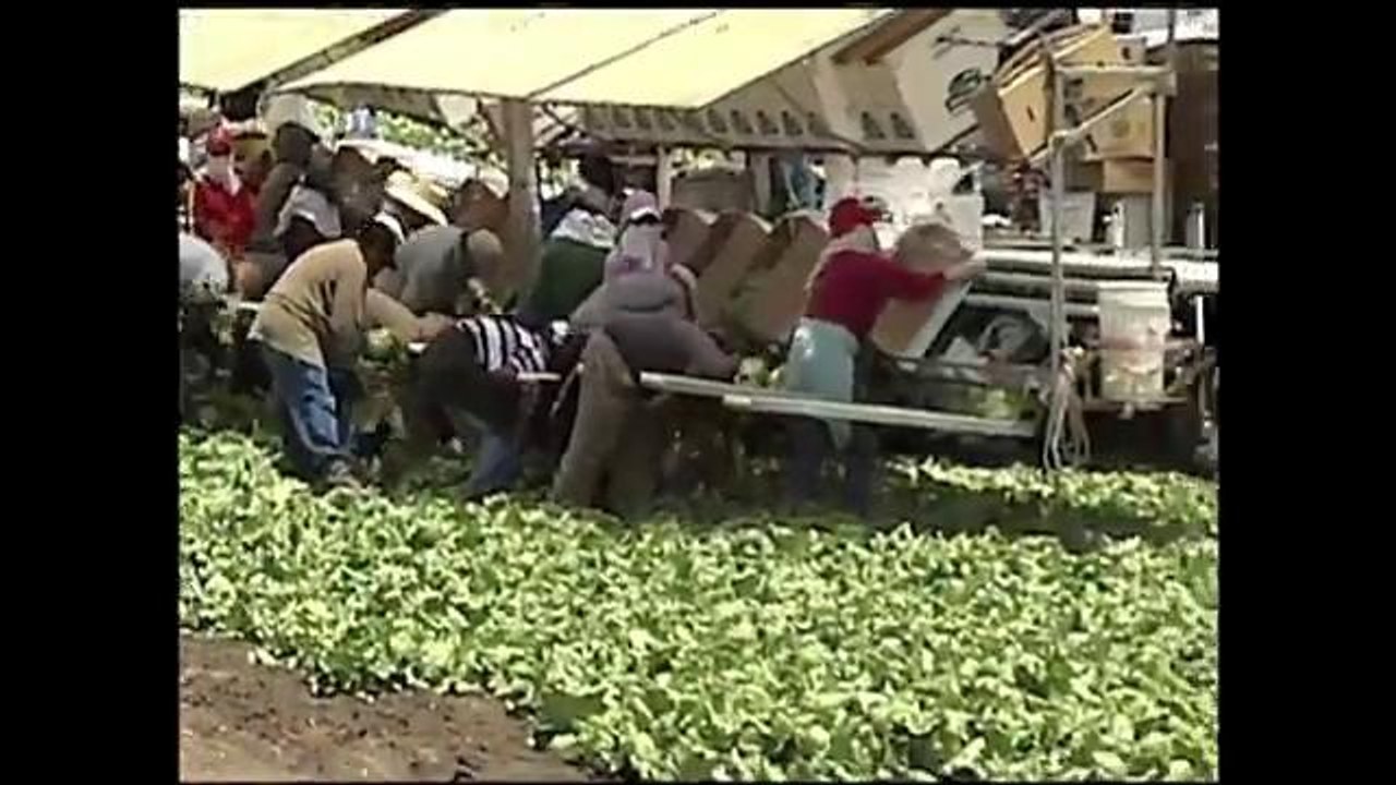 Sequía y aumento en los precios