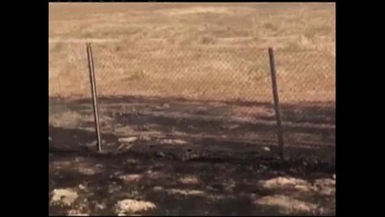 Incendios de malesa en Santa María