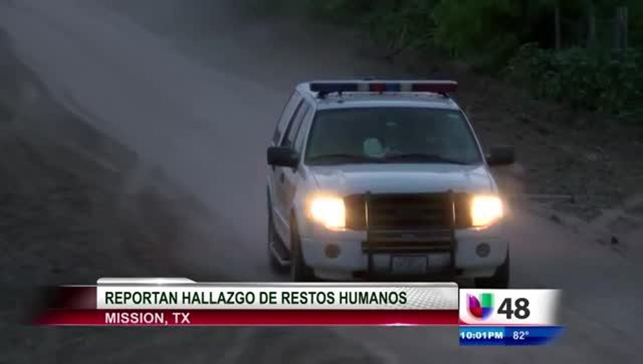 HUMAN REMAINS