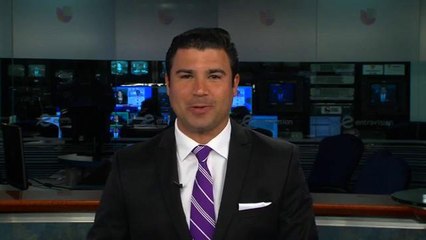 Encuentran cadáver de mujer en Tampa
