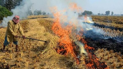 Delhi air-emergency: Supreme Court fumes over pollution