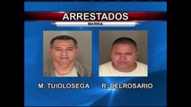 Arrestan a sospechosos en Marina