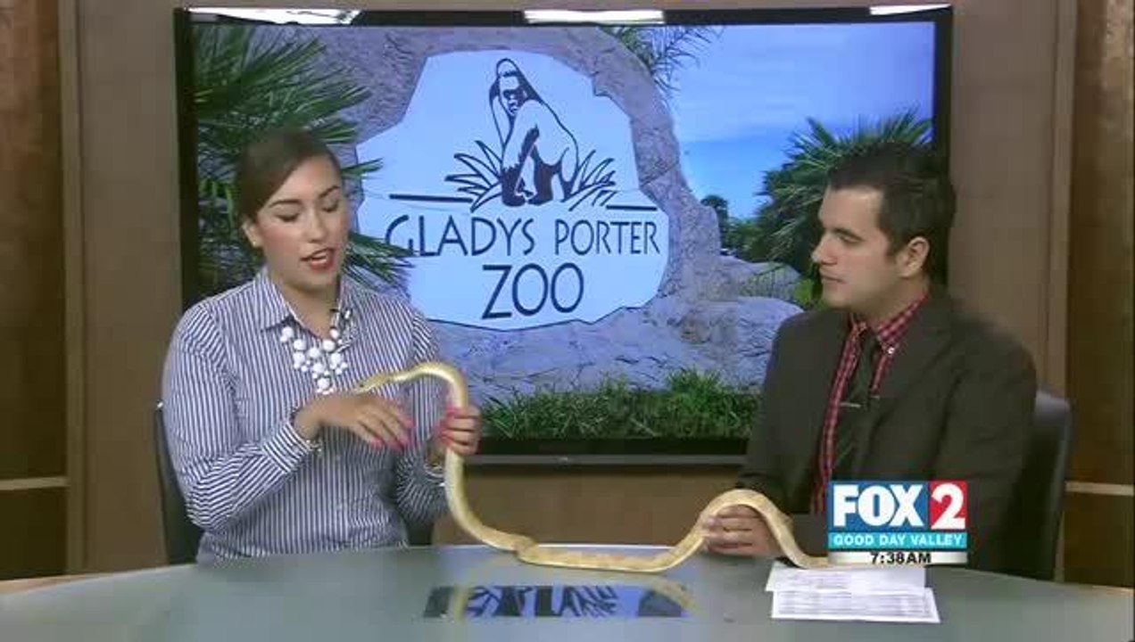 zoo