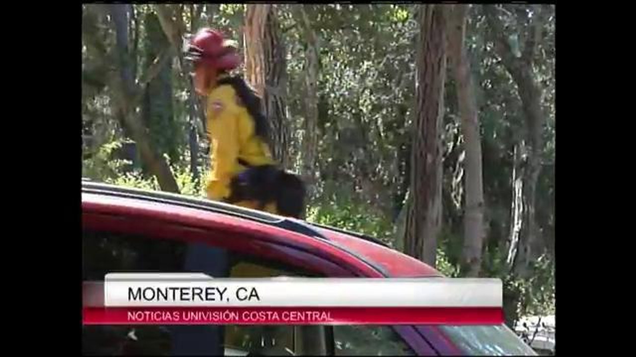Combaten incendio en Monterey