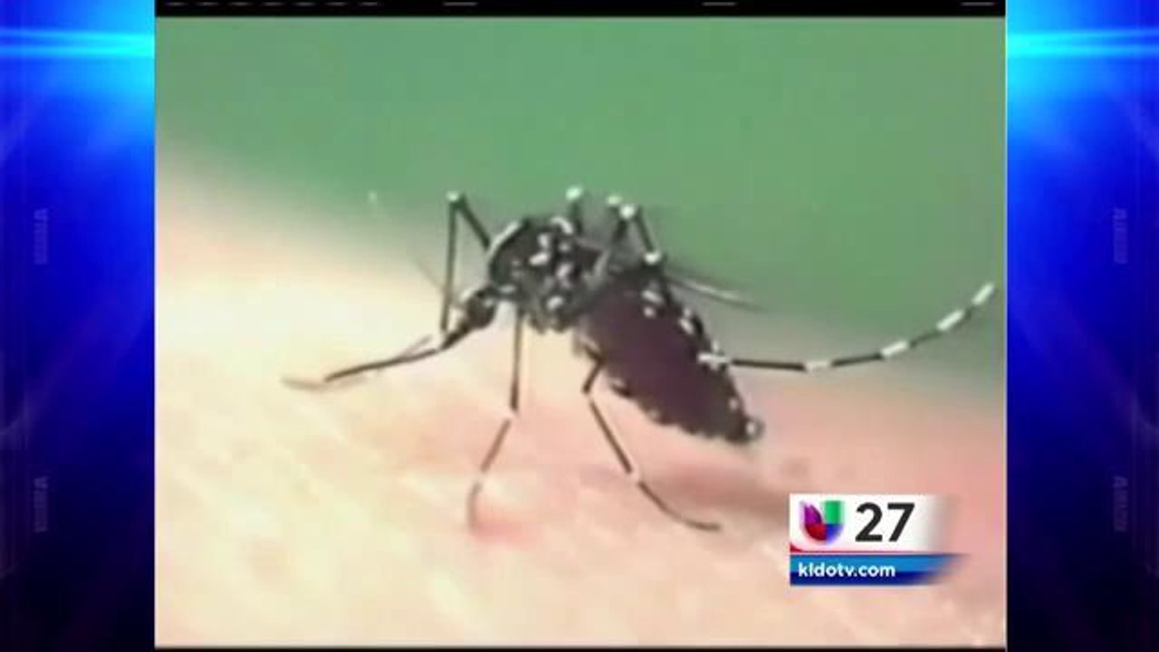 Virus del nilo