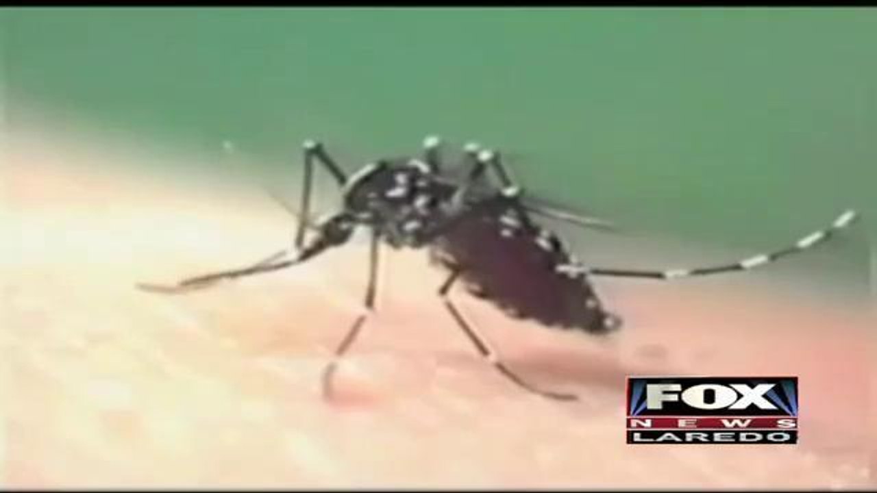 West Nile Virus