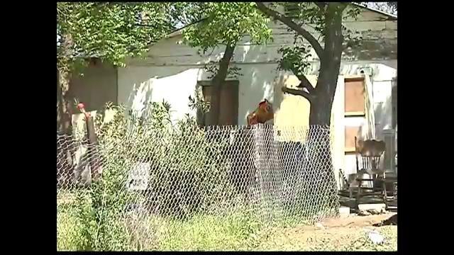 Buscan a sospechosos de tiroteo