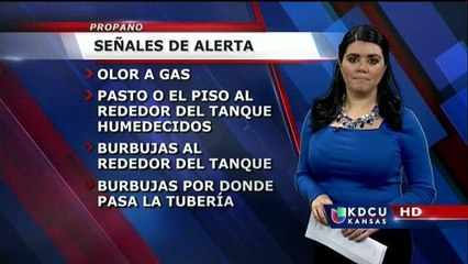 Medidas de seguridad si usa propano en su casa