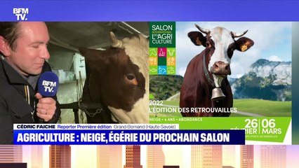 Agriculture : Neige, égérie du prochain Salon - 17/11