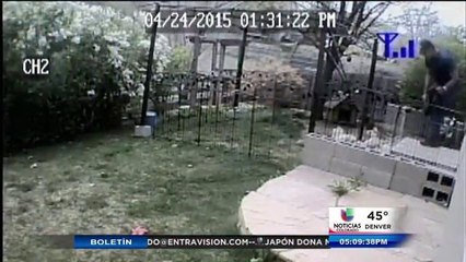 Se busca hombre de causar crueldad animal
