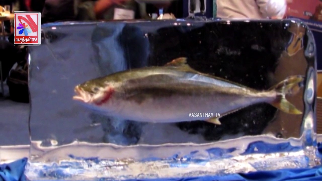 Thoduvaanam -  Vasantham TV (13-11-2021)