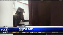 San Diego Boat Owner Shares Bunk With Sea Lion