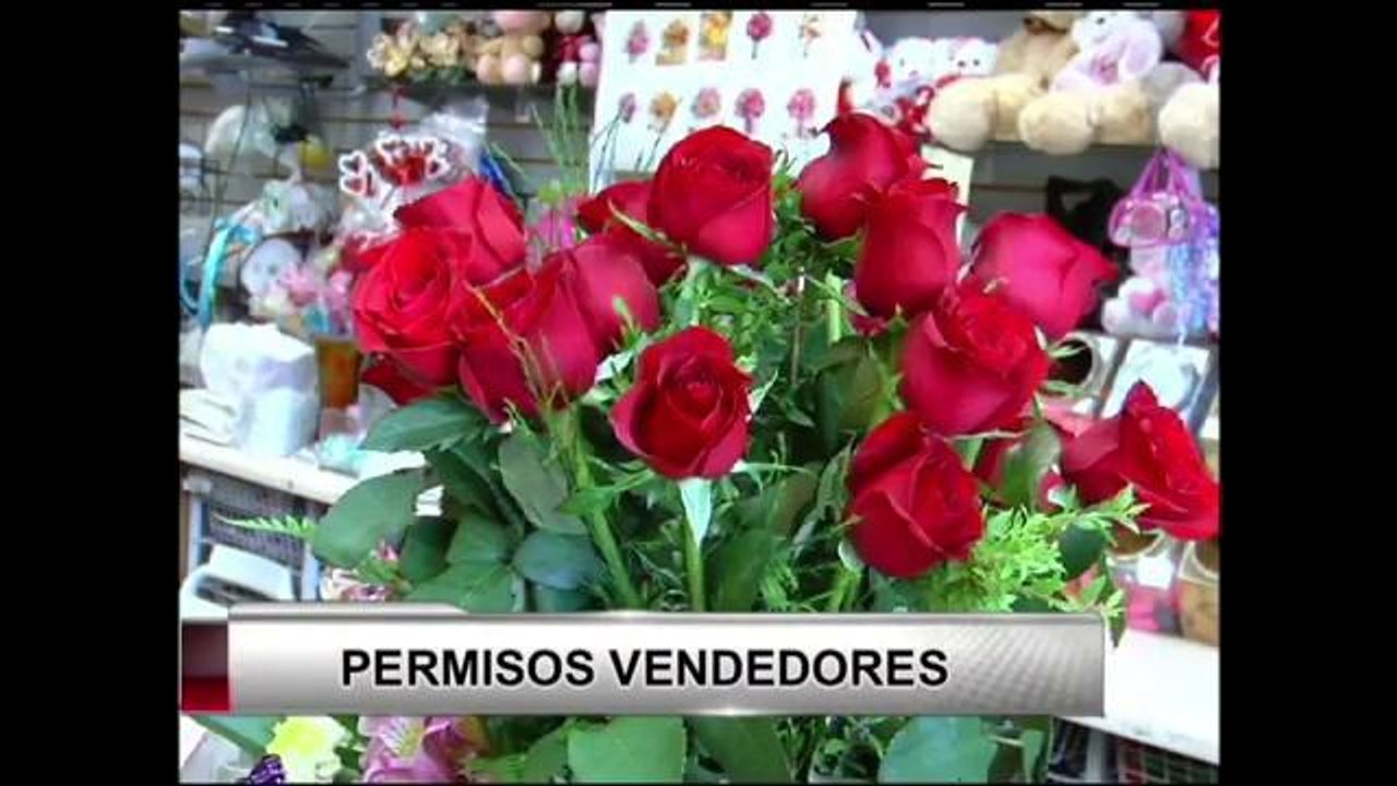 Permisos para ventas del Día de las Madres