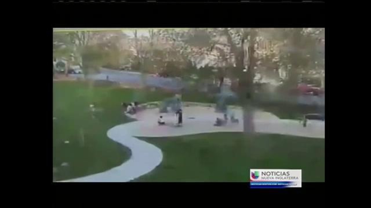 Vídeo capta