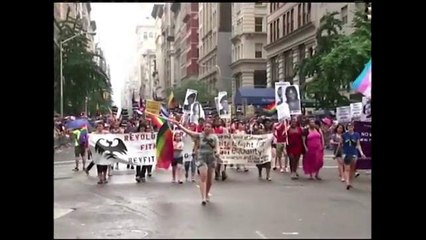 Editorial de Luisa Collins