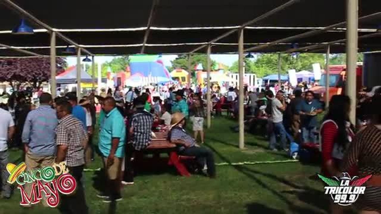 Cinco De Mayo • Roseville