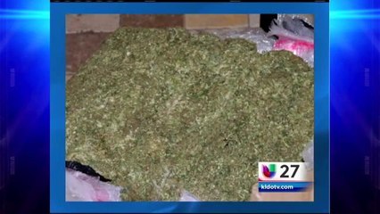 Decomisan varias libras de marijuana
