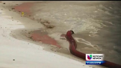 Detectan bacteria en concurridas piscinas de Las Vegas