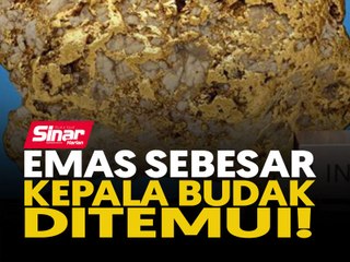 Emas sebesar kepala budak ditemui!