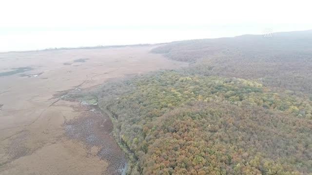KIRKLARELİ - İğneada Longoz Ormanı'ndaki dereler ahşap köprüler ile aşılacak