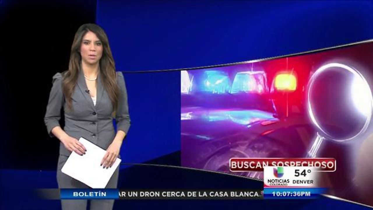 Sospechoso de violación en búsqueda