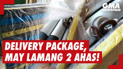 Delivery package, may lamang 2 ahas! | GMA News Feed