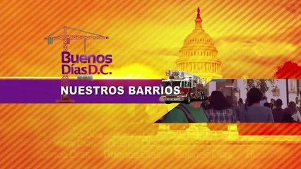 Sinsi Hernandez de Families USA