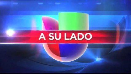 ¿Tiene perros en su casa? Vea esta información